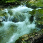 Costola Raffaella Eugenia - acqua  meraviglia della natura - sentiero 12